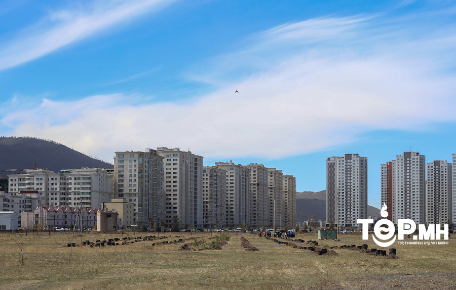 Үндэсний цэцэрлэгт хүрээлэнд 2600 орчим модны суулгац тарилаа