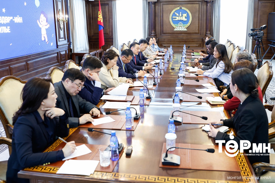 УИХ-ын дарга Д.Амарбаясгалан Монгол Улсад хүүхдийн эрхийг хамгаалах чиглэлээр үйл ажиллагаа явуулж буй байгууллагуудын төлөөллийг хүлээн авч уулзлаа