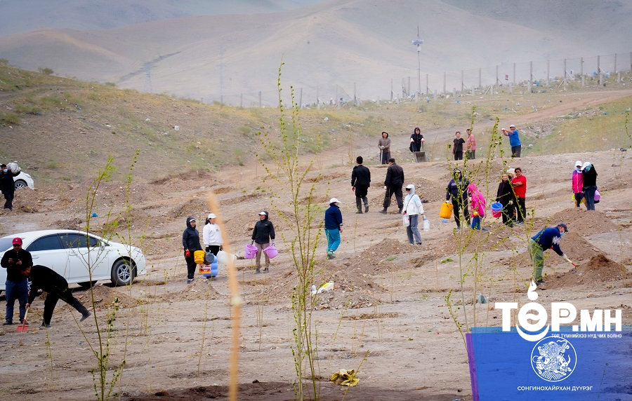 СХД-ийн засаг даргын санаачилгаар 45 байршилд үүссэн 500 орчим тн хогийг цэвэрлэж ойн зурвас үүсгэжээ