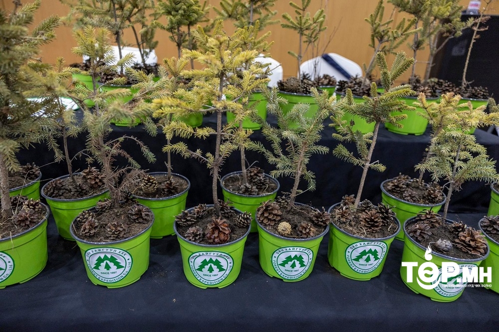 “Тэрбум мод” үндэсний хөдөлгөөний үр дүнд үр, тарьц, суулгацын нөөц дөрөв дахин нэмэгджээ