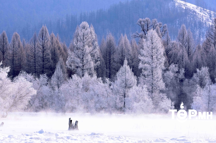 Ирэх сард агаарын температур ихэнх нутгаар тогтворгүй, хэлбэлзэл ихтэй байна