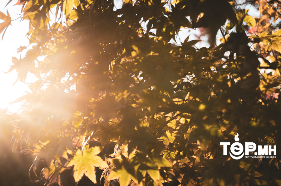 Улаанбаатар хотод өдөртөө 5 хэм дулаан