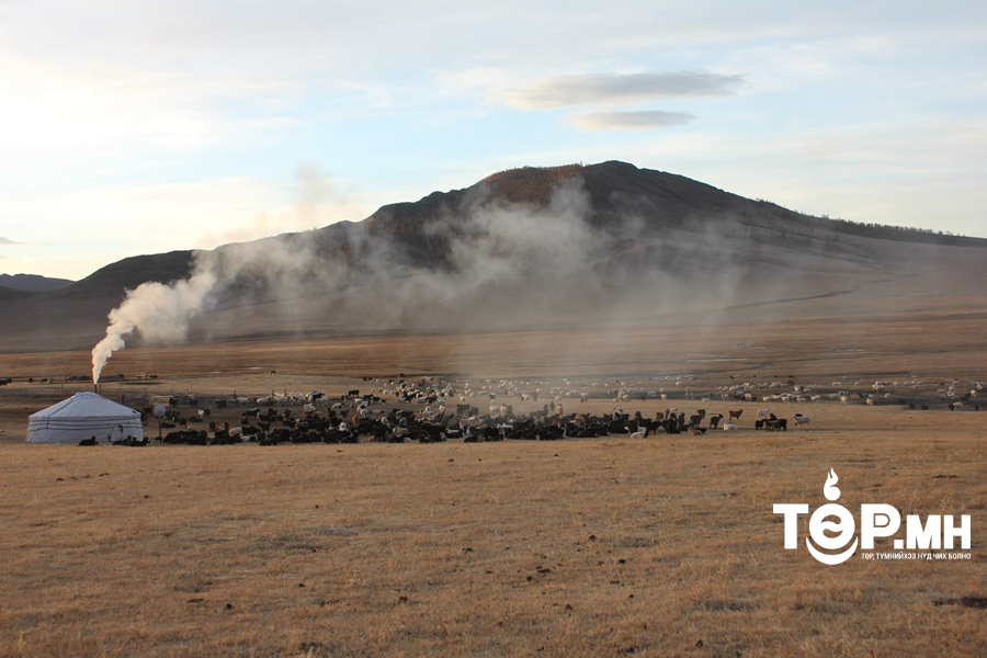 Ойрын өдрүүдэд ихэнх нутгаар цаг агаар тогтуун, өдөртөө дулаан байна